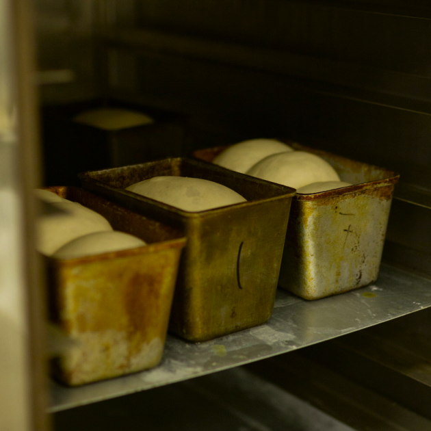 custom-img-26-copyright.jpg (1)